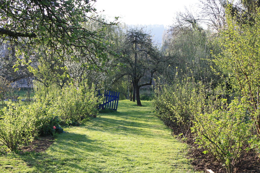 La Barbotine Bed & Breakfast Septmonts Exterior foto